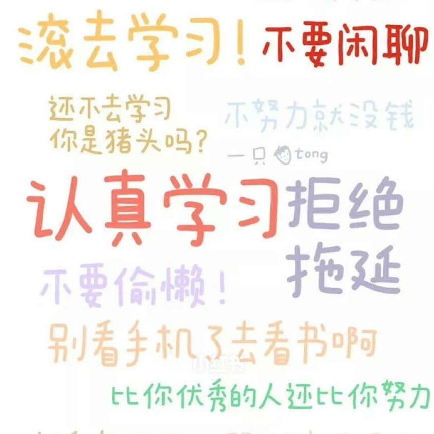 美美的句句