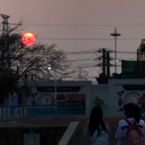 我的专辑