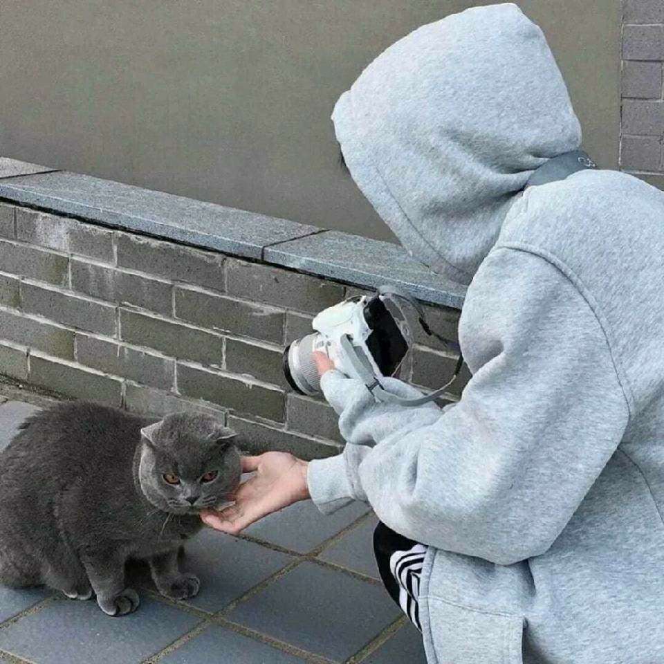 鱼七的专辑