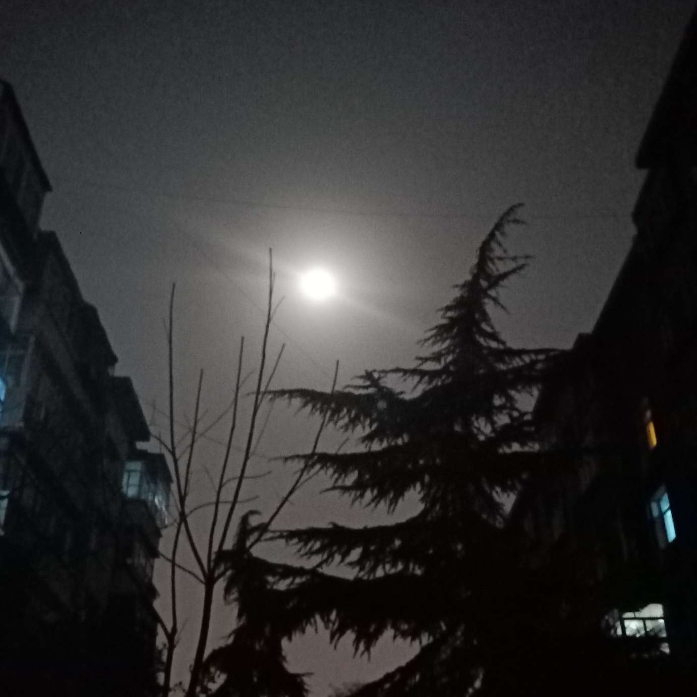 阿巴阿巴