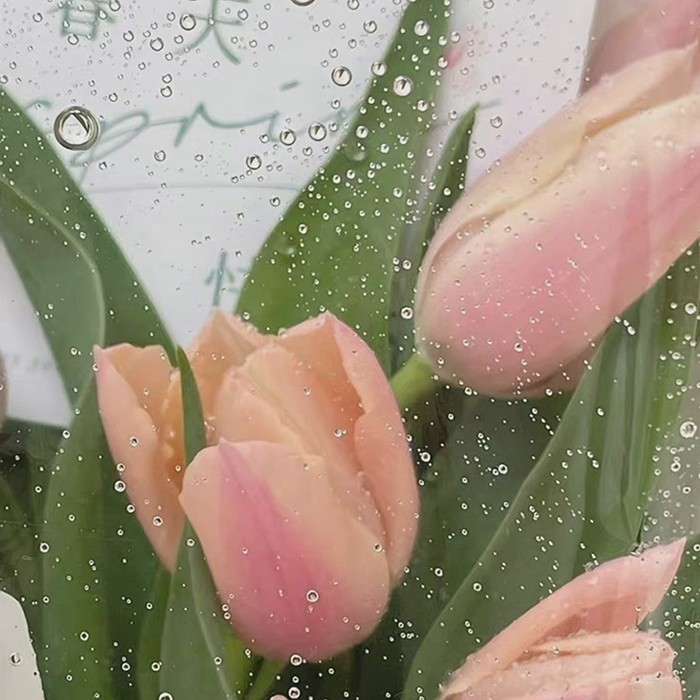 名句