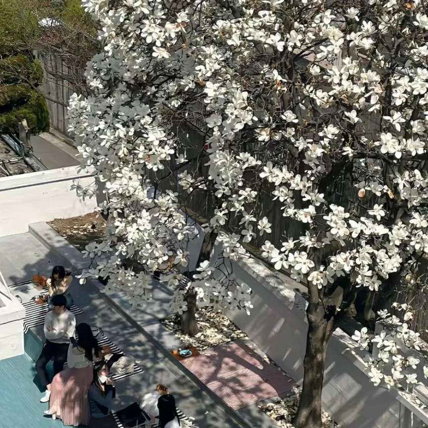 长相思