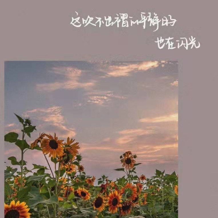 宋安.的专辑