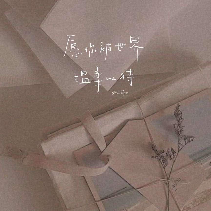 鸡汤类