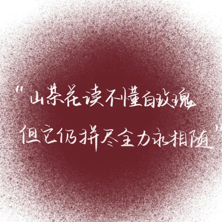 文案库