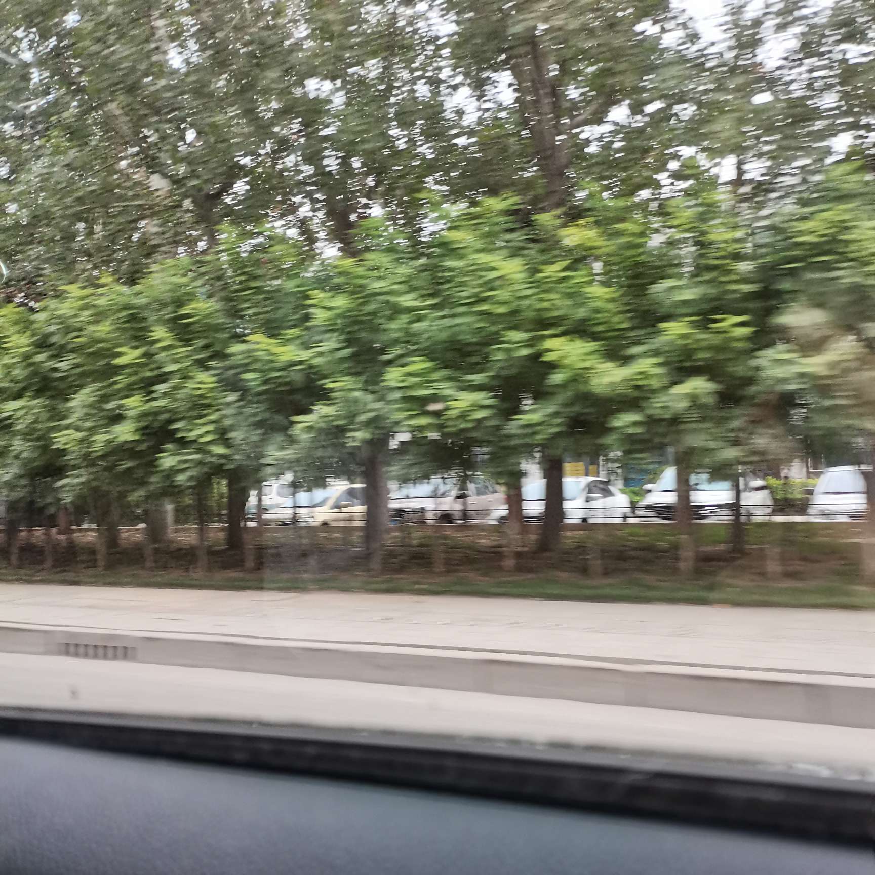 三磷酸腺苷