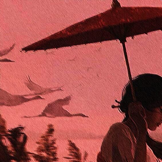 甜预的专辑