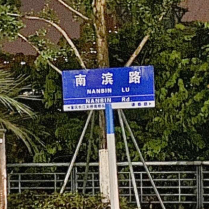 TF家族