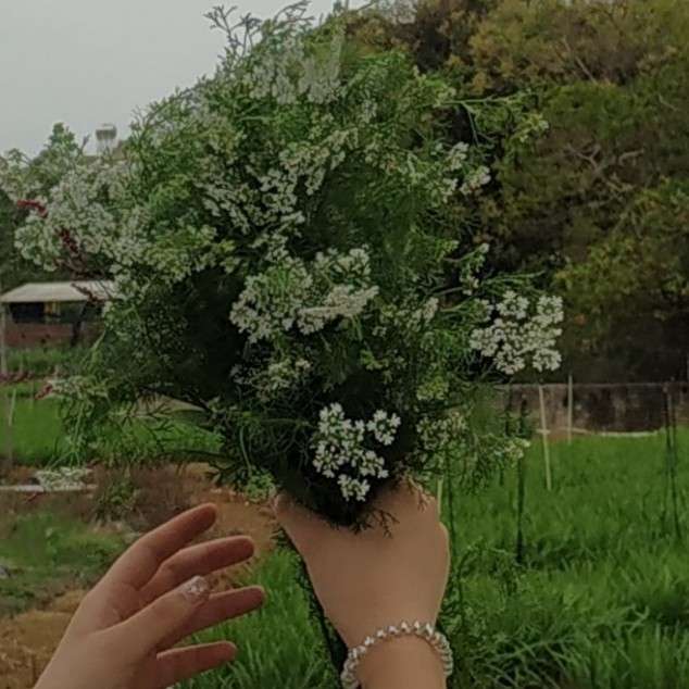 咋悄无声息的吃的专辑