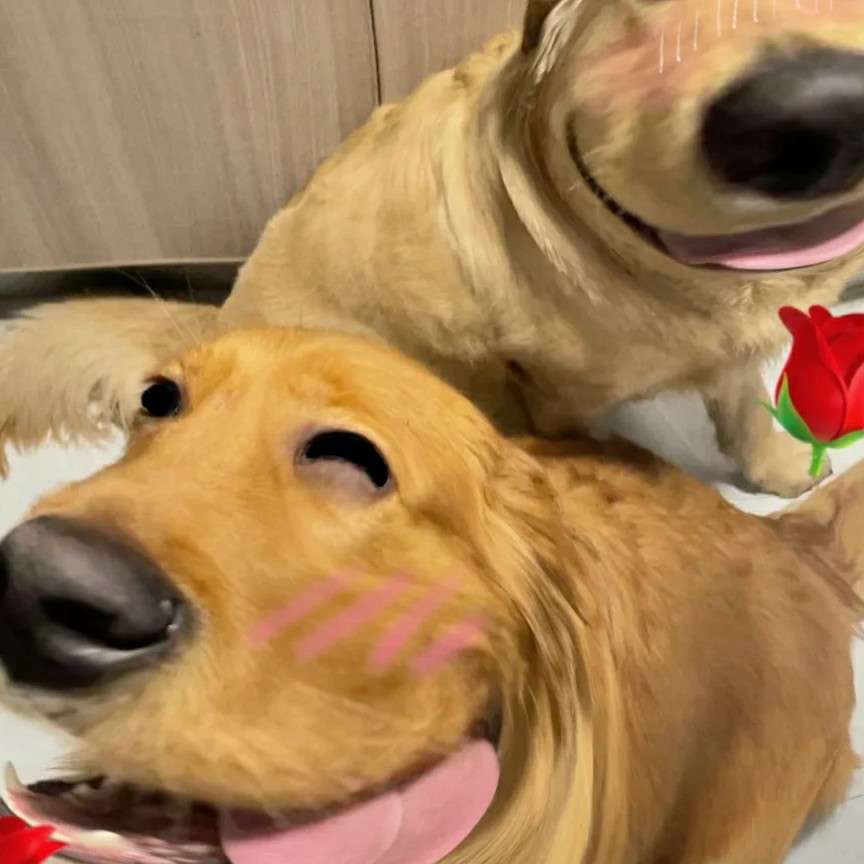 好好生活呀