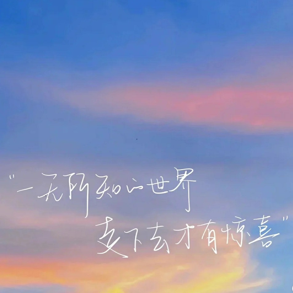 Y樱小专辑