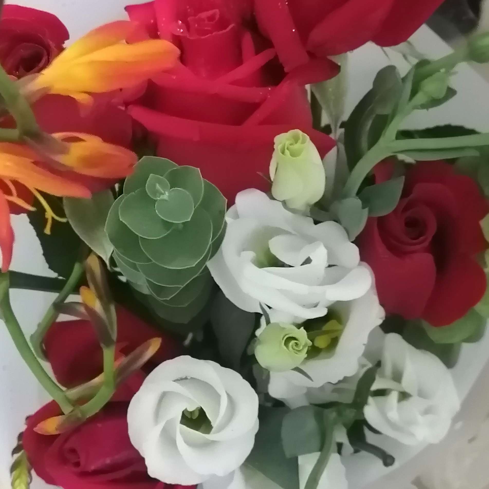 理想的生活，漂泊的动力