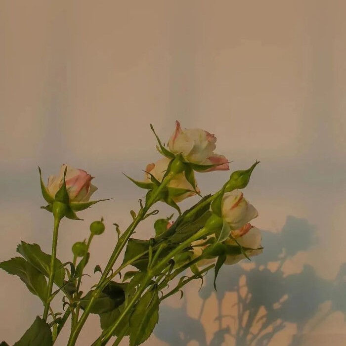 “此夕知何夕”