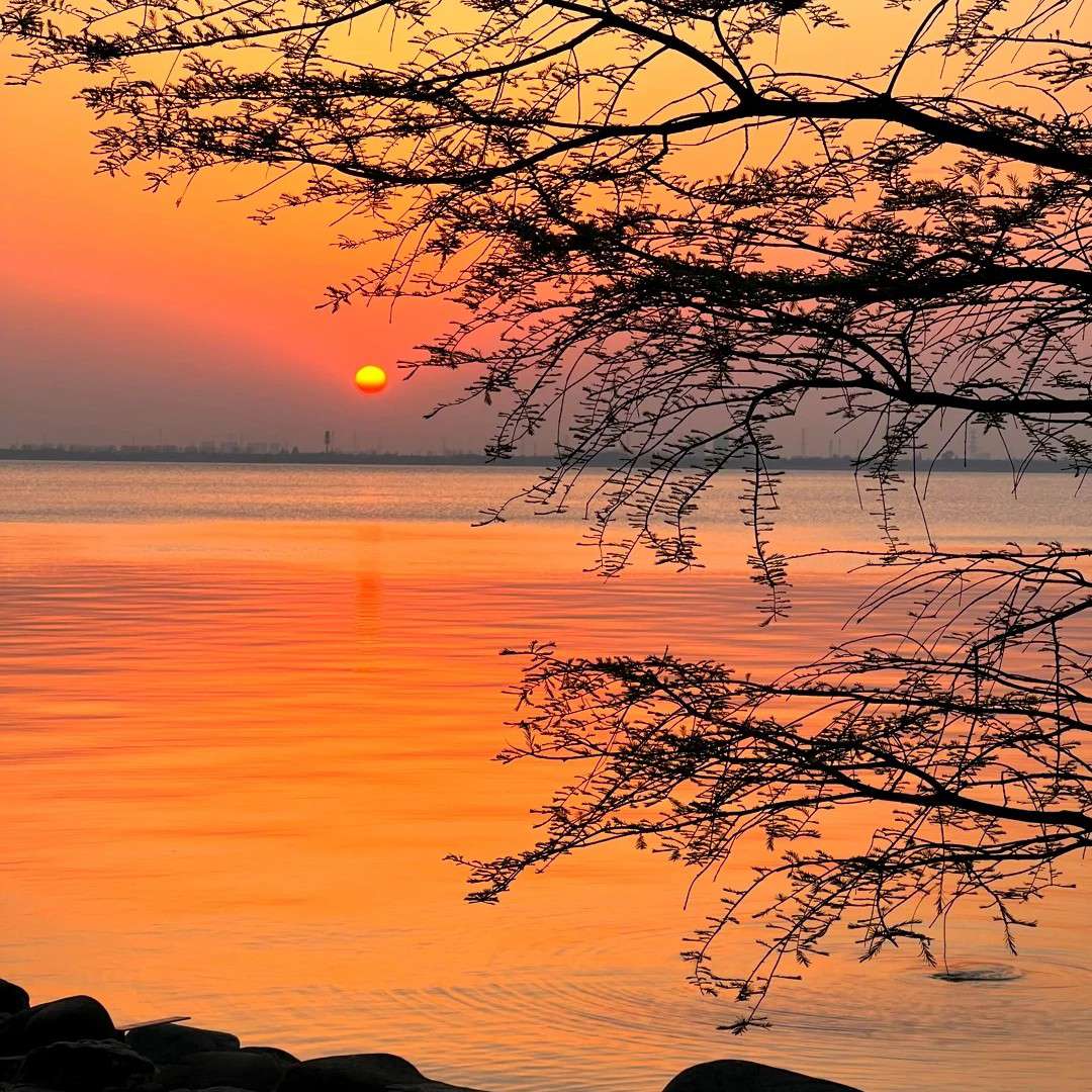 夕阳