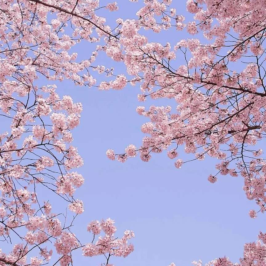 梦实～☆