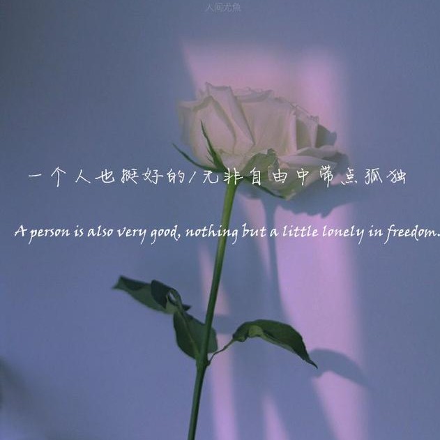 岚夙的专辑