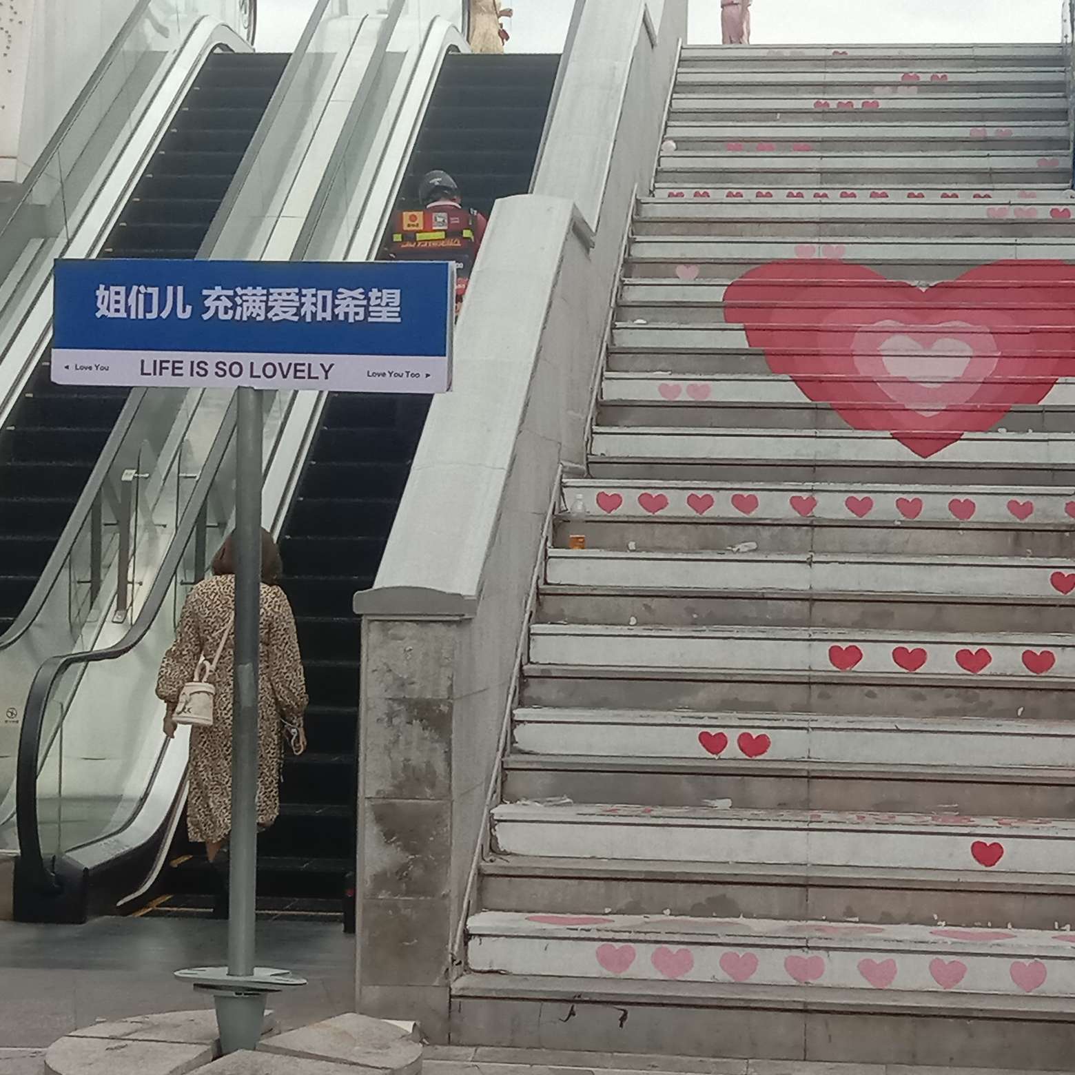 菁的专辑