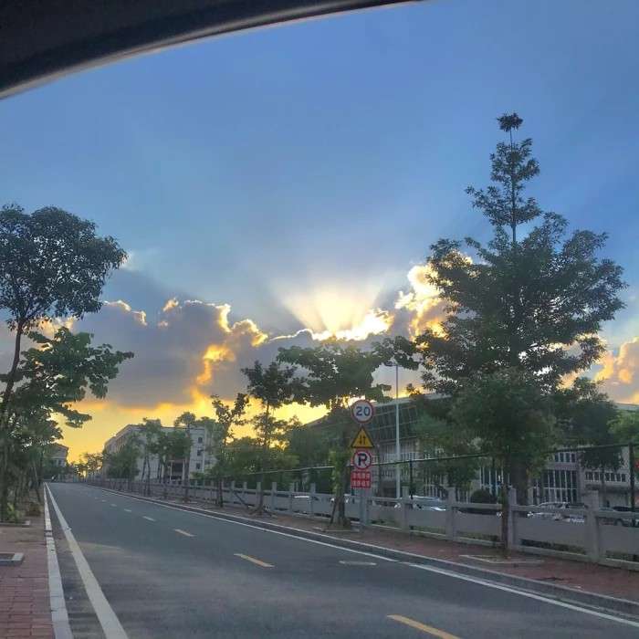 小说