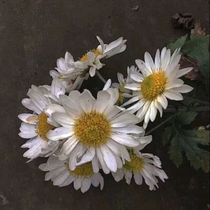 动漫