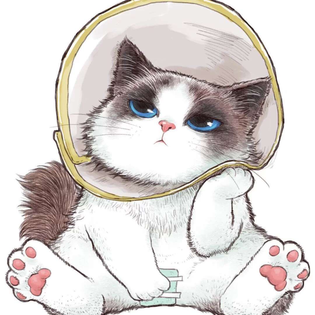 所感所悟