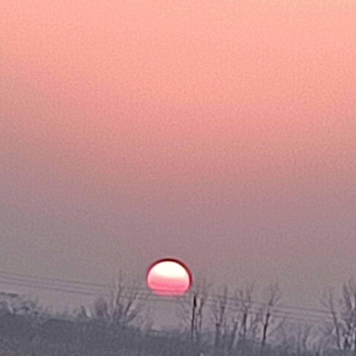 希望会落空