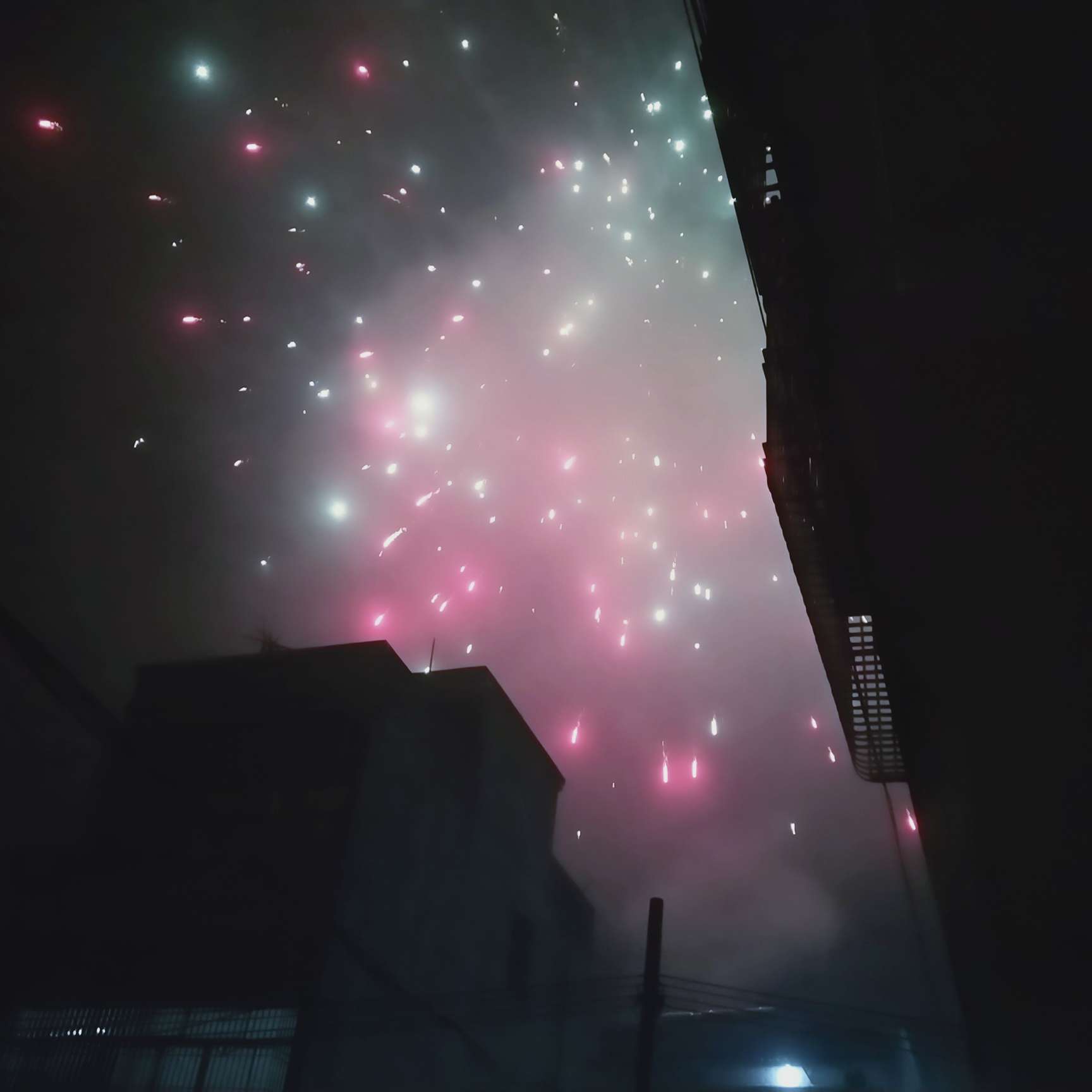 世界温柔待你归来