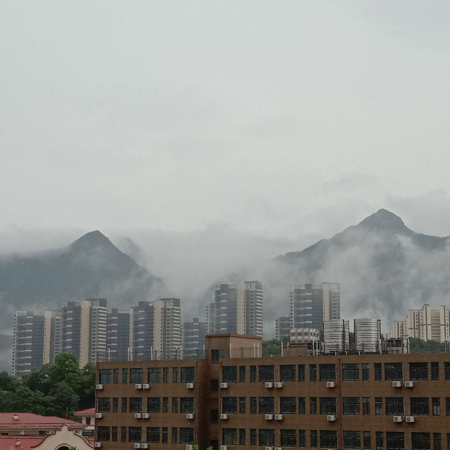 诗情画意