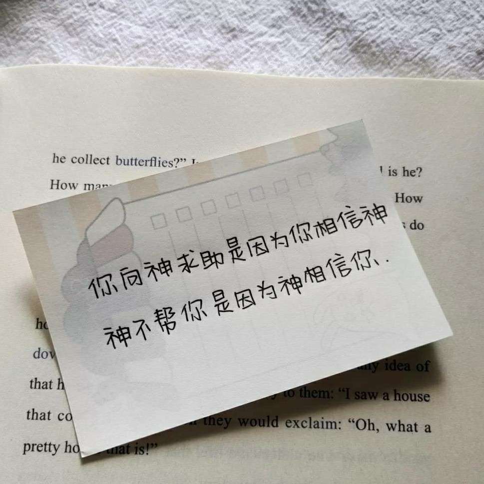 轻尘的努力