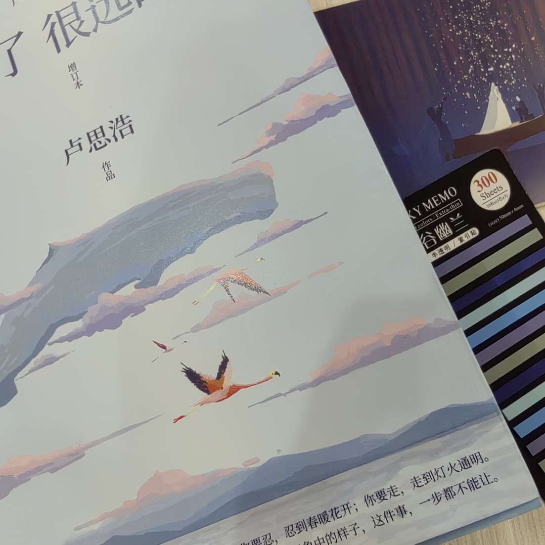 你也走了  很远的路吧
