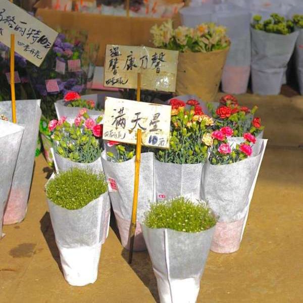 森