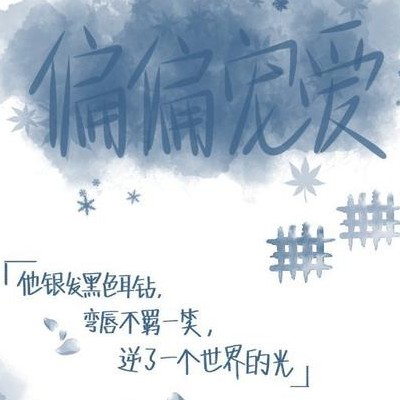 偏偏宠爱文案