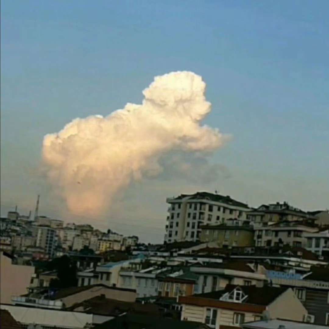 温柔