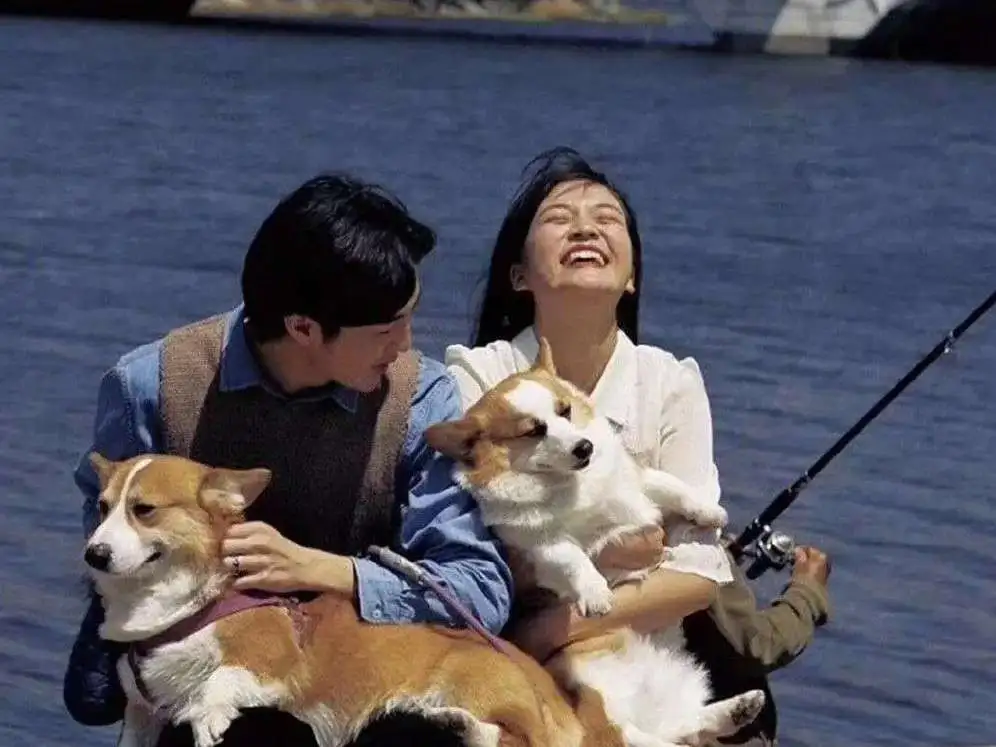 关于爱情