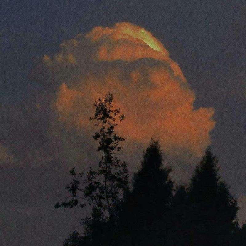 随