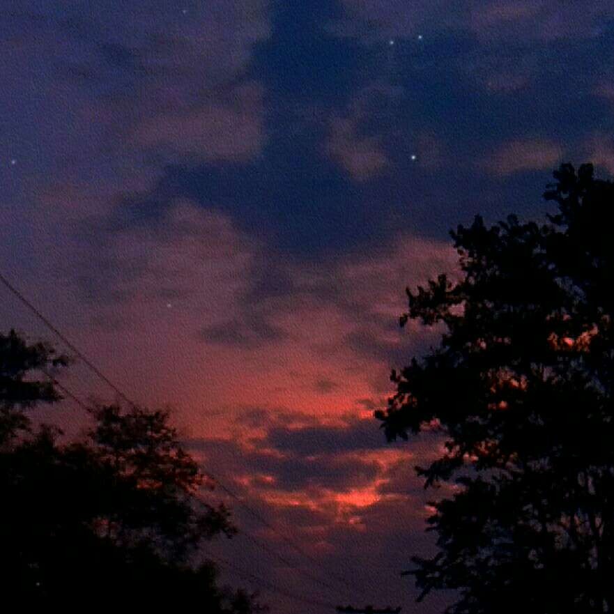 星野.