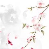 小说集