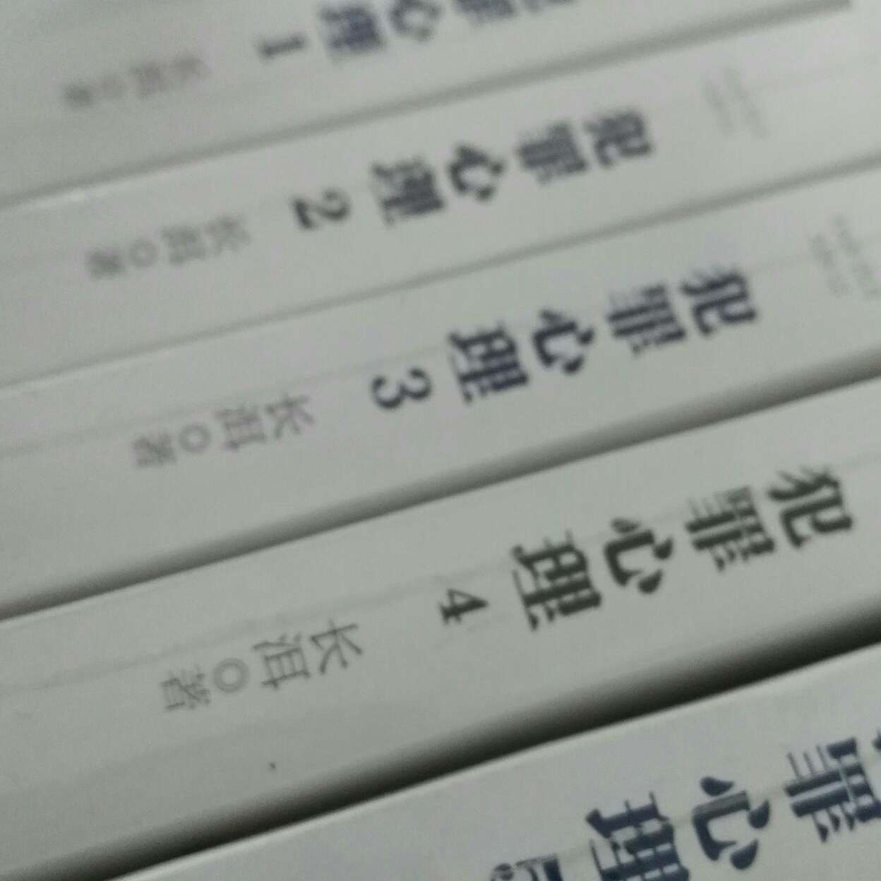 犯罪心理 长洱