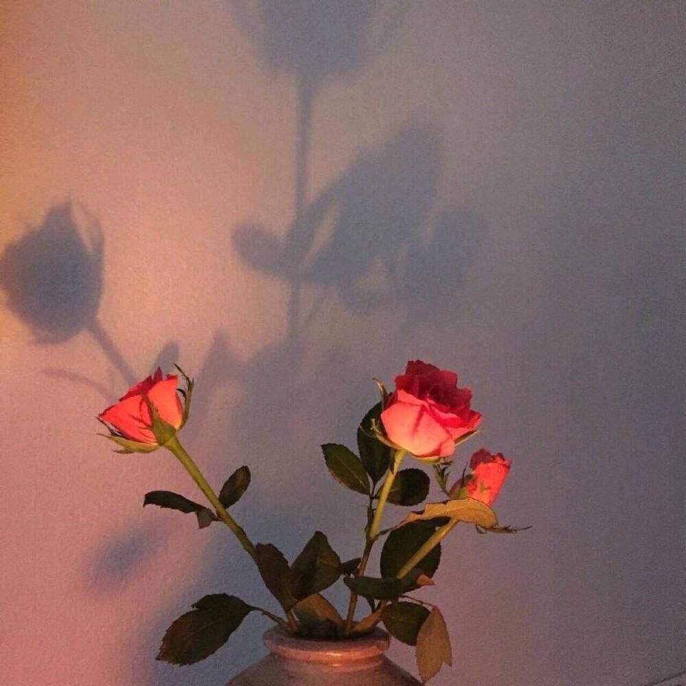 伤感语录