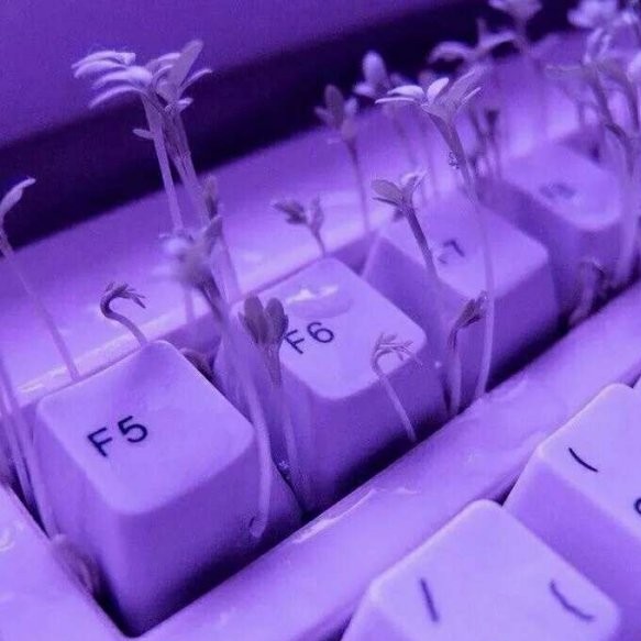 血