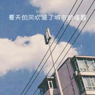 追星女孩💛.