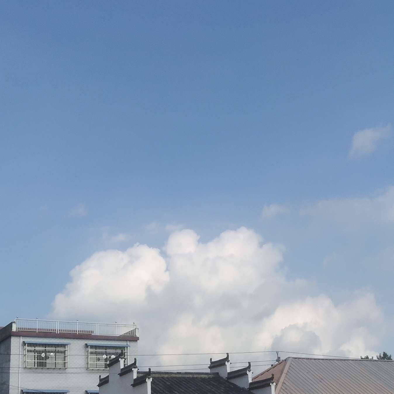 长句子