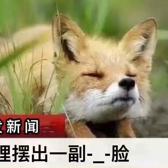奇奇怪怪可可爱爱