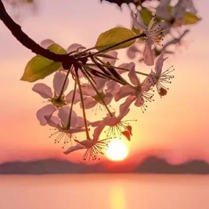 清泉专辑