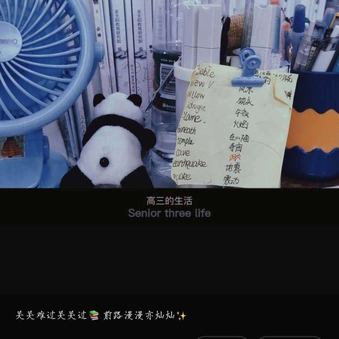 娜娜子的专辑