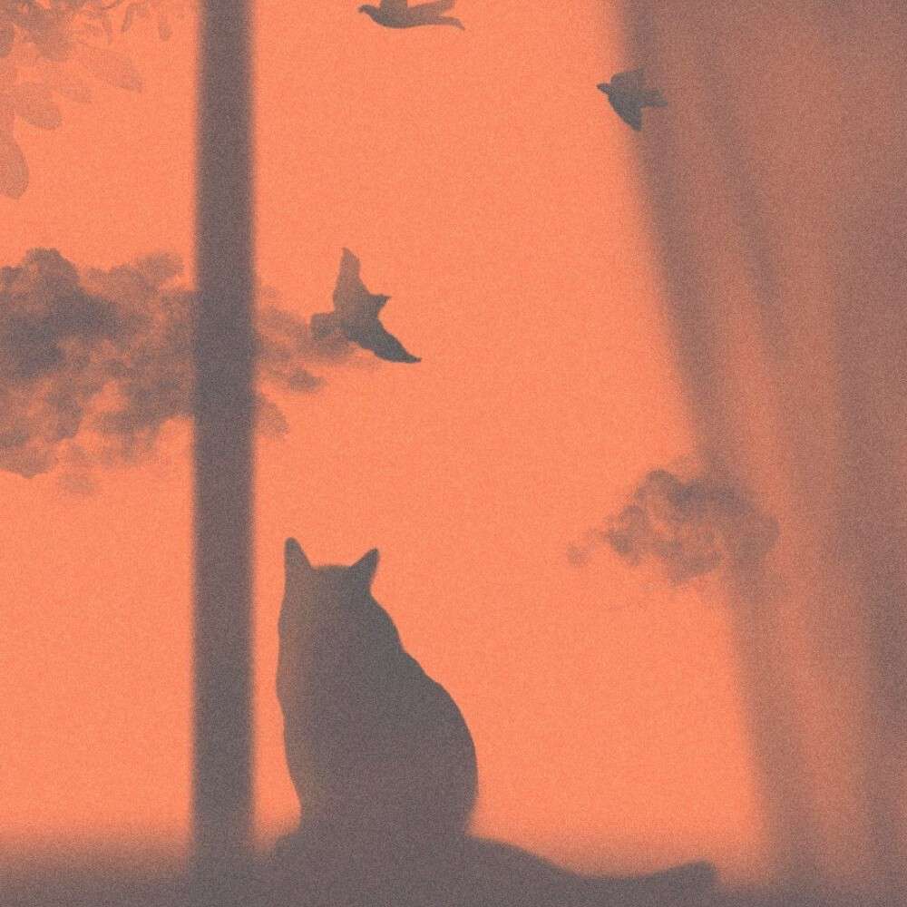 治愈系