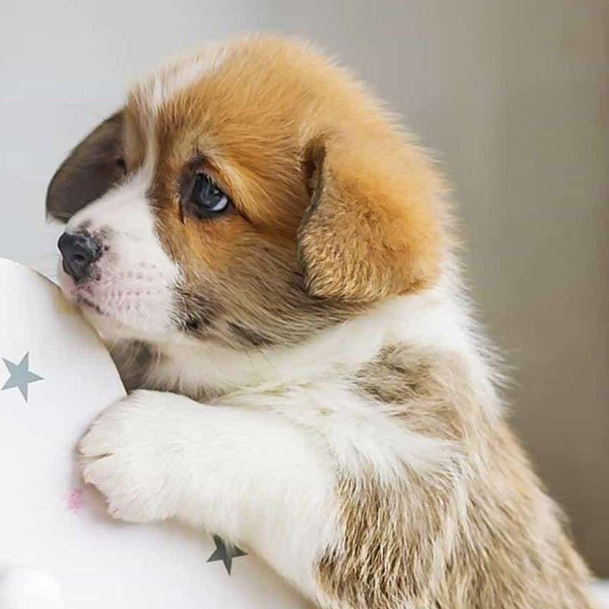 心城的专辑