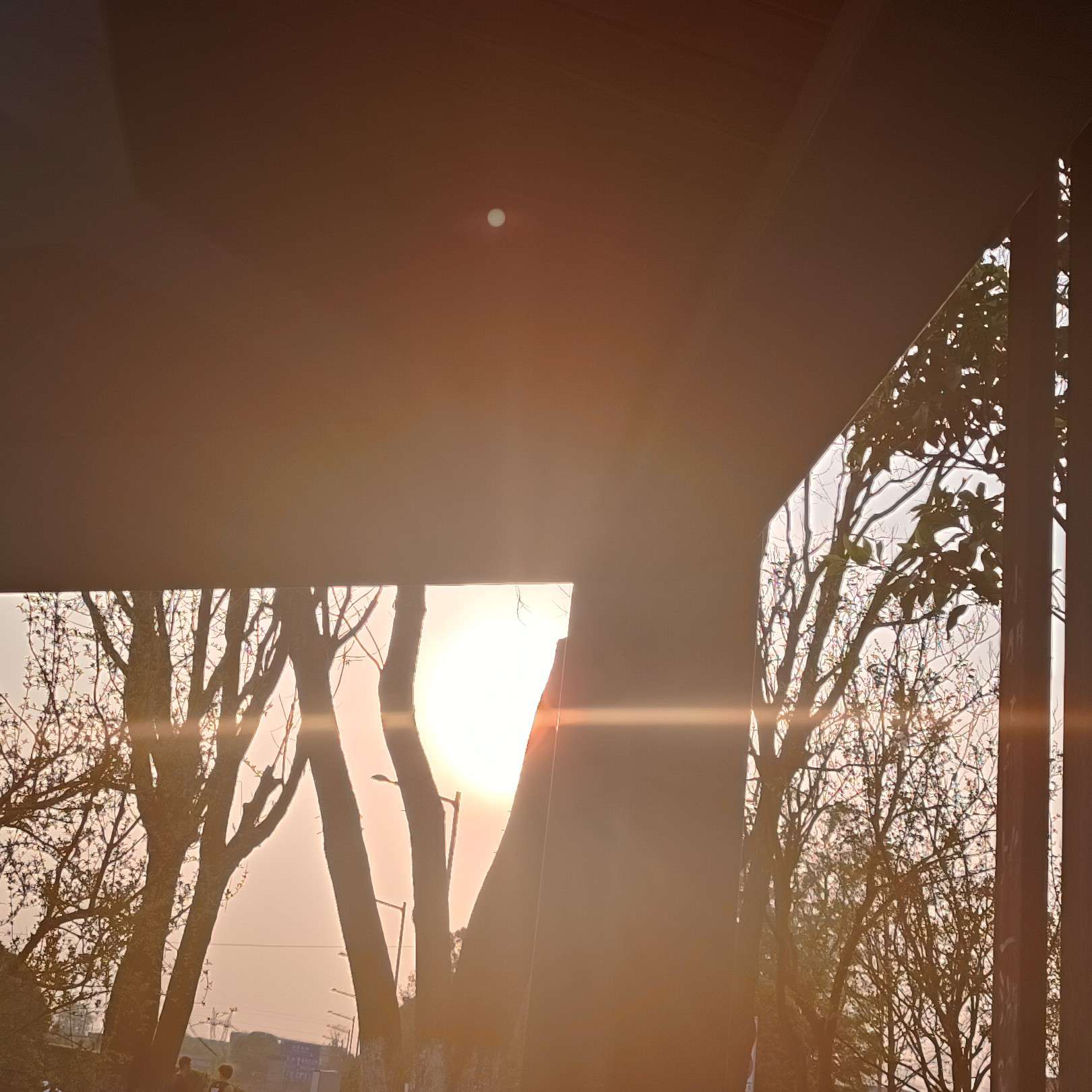 生活治愈
