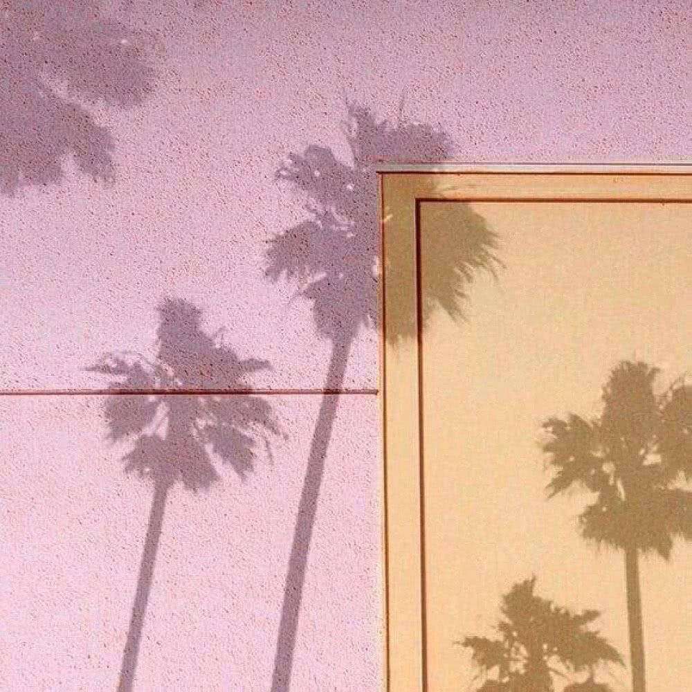 诗情惬意