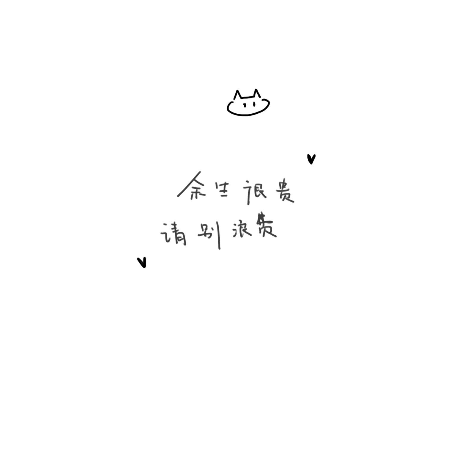作家语录