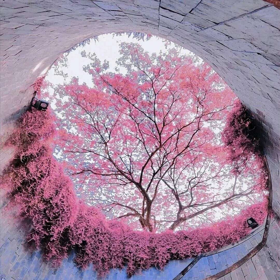 一眼让你触动